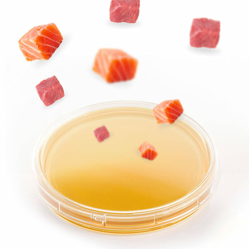 Питательные среды для определения в мясе, рыбе и продуктах переработки